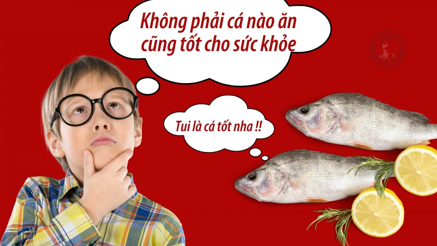 các loại cá nên và không nên ăn